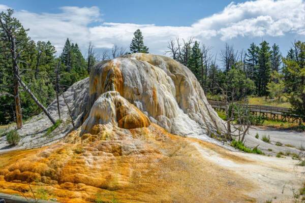 Mammoth Hot Springs