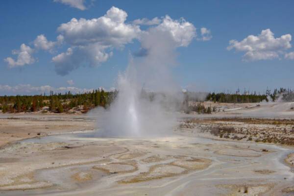 Norris Geyser Basin