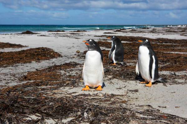 Port Stanley, Falkland Islands