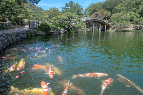 Ritsurin Garden, Takamatsu, Japan