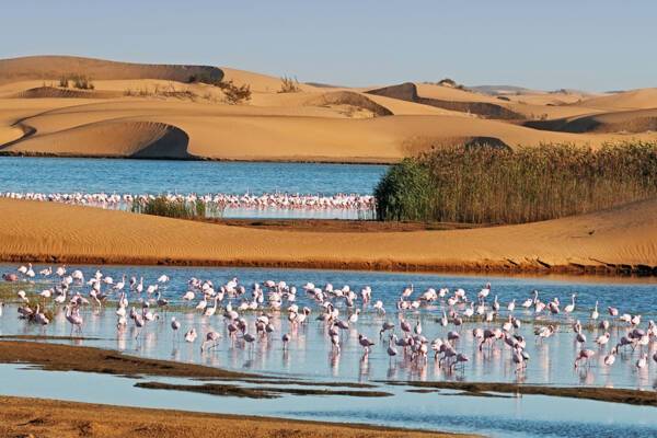 Walvis Bay in Namibia