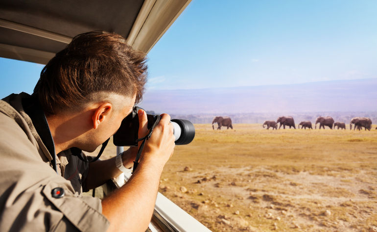 Top Wildlife Photography Tips for Beginners by ROL Cruise