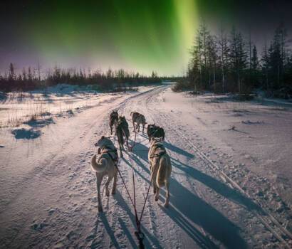Northern Lights