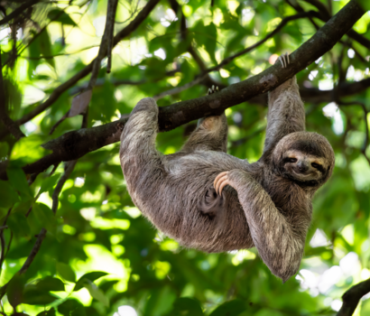 Costa Rica