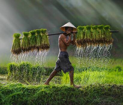 Regent 2027 World Cruise