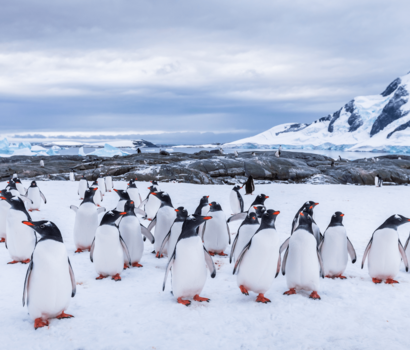 Antarctica