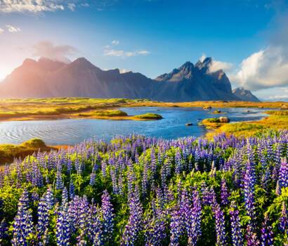 Iceland