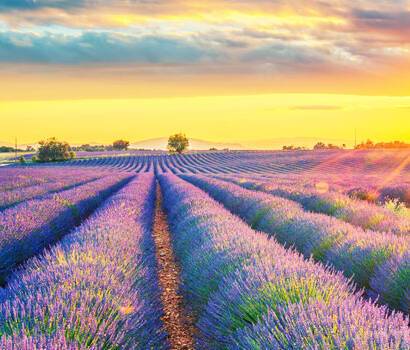 Provence
