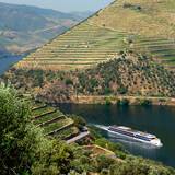 TM Douro-Serenity