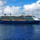 Celebrity Reflection