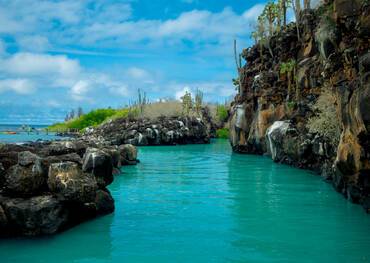 Visit Puerto Ayora on a cruise to the Galapagos Islands